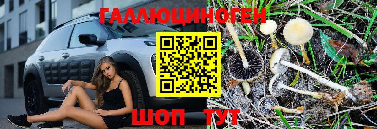 Галлюциногенные грибы прущие грибы Гулькевичи